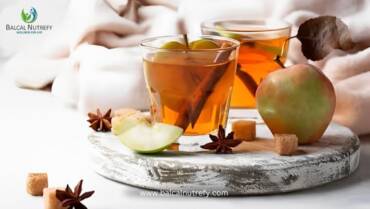Fat Burning Detox Drink
