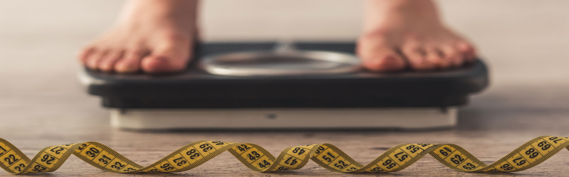 weight-management-program-balcal-nutrefy weight-management-program-balcal-nutrefy