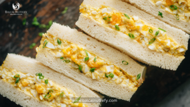 Egg Sandwich | Nutritious Recipe | Protein Rich | Quick Breakfast Solution