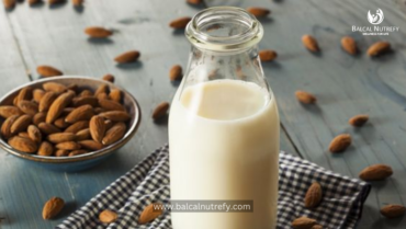 Homemade Almond Milk | Vegan Milk | Protein Rich Recipe