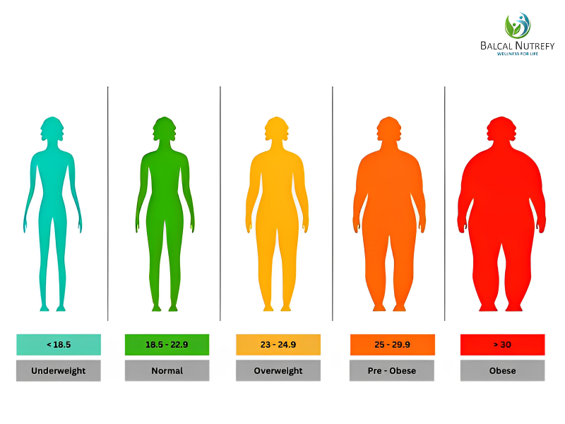 Body Mass Index Balcal Nutrefy